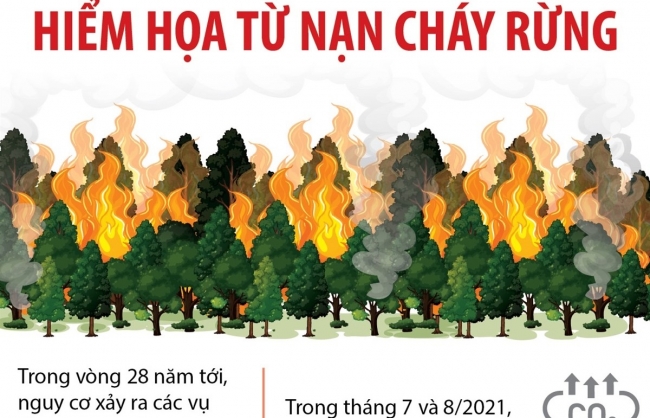 Hiểm họa từ nạn cháy rừng