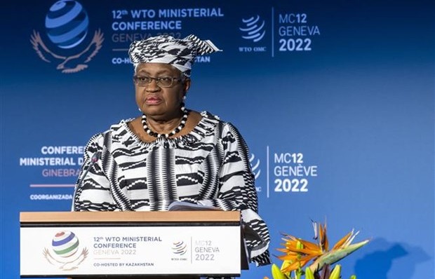 Tổng giám đốc WTO: Kinh tế thế giới đang trên đà suy thoái