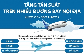Infographics: Tăng tần suất trên nhiều đường bay nội địa