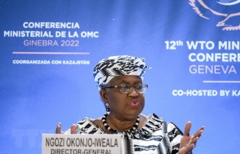 WTO hạ dự báo tăng trưởng thương mại toàn cầu do nguy cơ suy thoái