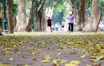 Thời tiết ngày 24/10: Bắc Bộ sáng sớm sương mù, ngày nắng