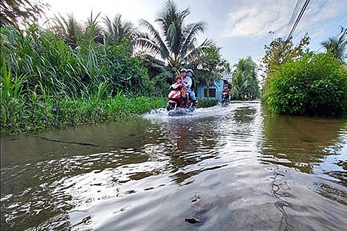 Thời tiết ngày 3/11: Bắc Bộ lạnh về đêm và sáng sớm