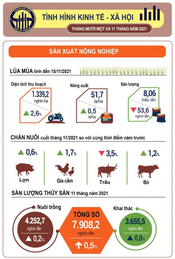 Tình hình kinh tế xã hội tháng 11 và mười một tháng năm 2021