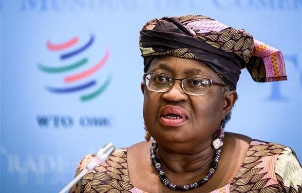 WTO kêu gọi loại bỏ rào cản thương mại với hàng hóa vì môi trường