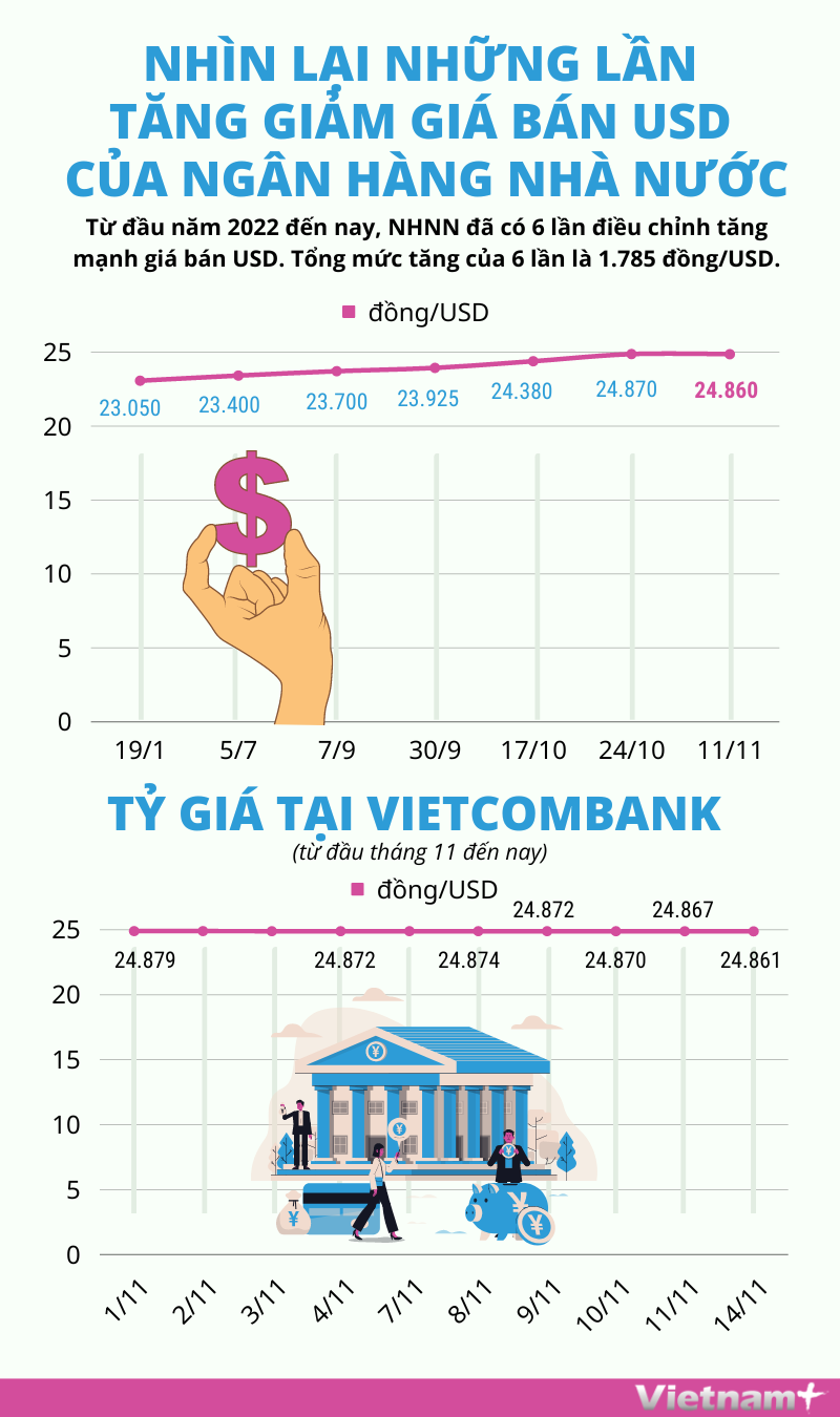 Nhin lai nhung lan tang giam gia ban USD cua Ngan hang Nha nuoc hinh anh 1