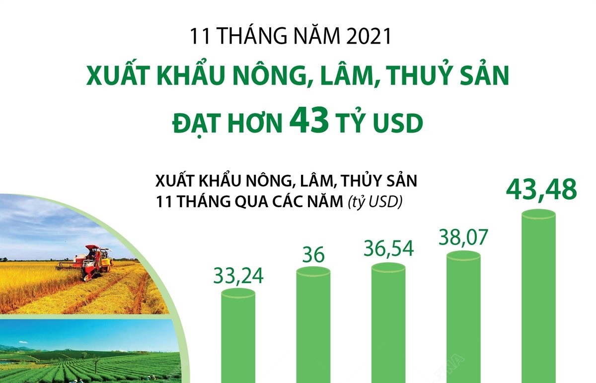 Xuất khẩu nông, lâm, thuỷ sản đạt hơn 43 tỷ USD trong 11 tháng năm 2021