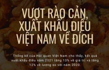 Xuất khẩu hạt điều của Việt Nam về đích sớm