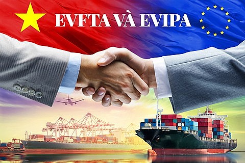 Tận dụng tốt cơ hội từ các FTA xuất nhập khẩu thành công vượt bậc