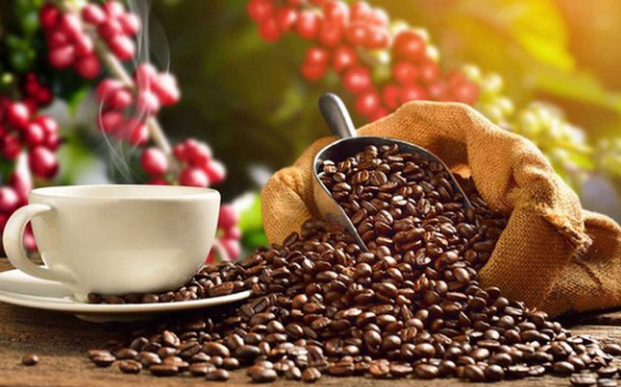 Xuất khẩu cà phê thu về xấp xỉ 3 tỷ USD