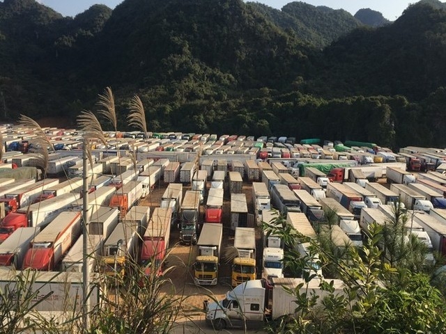 Lạng Sơn: Dừng tiếp nhận xe chở hoa quả tươi xuất khẩu trong 10 ngày cuối tháng 2