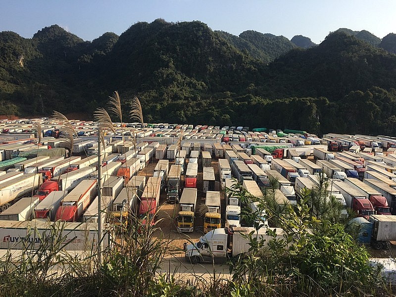 Lạng Sơn ngừng tiếp nhận xe chở hoa quả tươi xuất khẩu trong 10 ngày cuối tháng 2