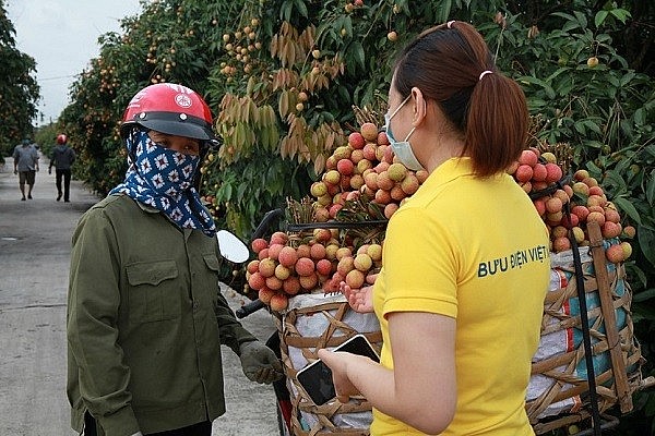 Thương mại điện tử đang tạo “làn sóng” mới đẩy mạnh tiêu thụ nông sản