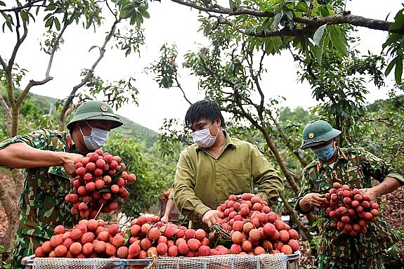 Doanh nghiệp Việt ngày càng có ý thức hơn trong bảo vệ, phát triển thương hiệu