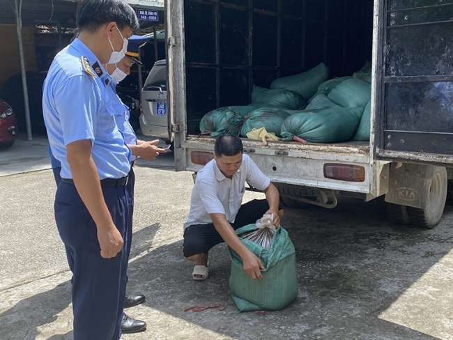 Hải Dương: Buộc tiêu hủy gần 2 tấn mỡ lỏng đựng trong nilon đang bốc mùi hôi thối