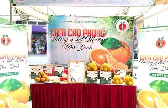 Cam Cao Phong: Gặt hát “trái ngọt” từ đầu tư nâng cao giá trị chỉ dẫn địa lý