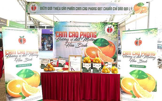 Cam Cao Phong: Gặt hát “trái ngọt” từ đầu tư nâng cao giá trị chỉ dẫn địa lý