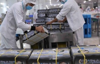 Thúc đẩy thương mại Việt Nam - Đức thông qua EVFTA