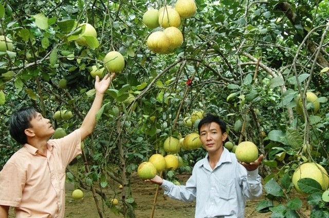 Tạo chuyển biến trong thực hiện Chương trình phát triển tài sản trí tuệ đến năm 2030