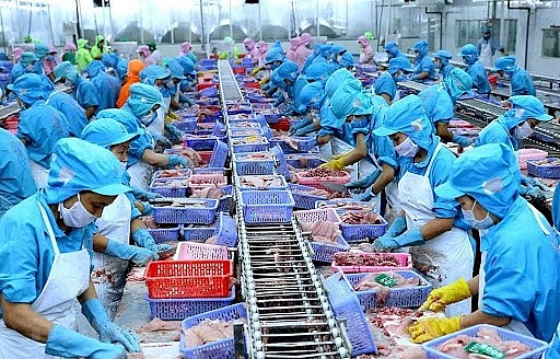 Gần 700 doanh nghiệp thủy sản đạt chuẩn được phép xuất khẩu sang Đài Loan