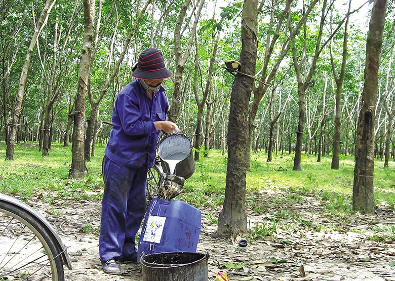 State-owned stocks rally as reform expectations lift market sentiment