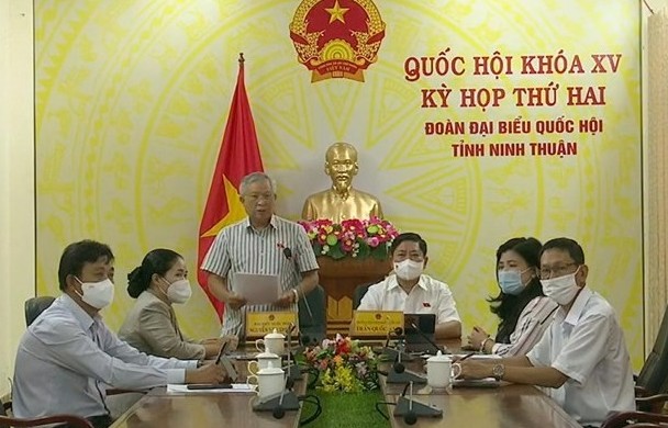 Đại biểu lo ngại thất nghiệp cao kéo theo nhiều vấn đề an ninh, trật tự