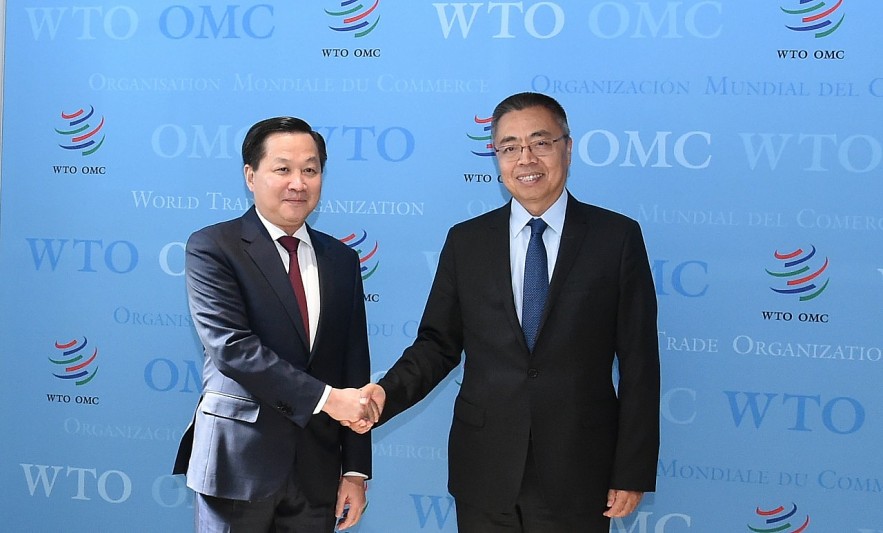 Việt Nam coi trọng vai trò trung tâm của WTO trong thúc đẩy hệ thống thương mại đa phương