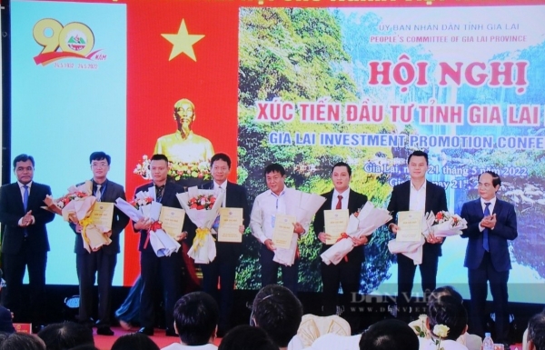 VsetGroup đầu tư dự án biệt thự nghỉ dưỡng VS Phoenix Villa trị giá 1.600 tỷ đồng tại Gia Lai