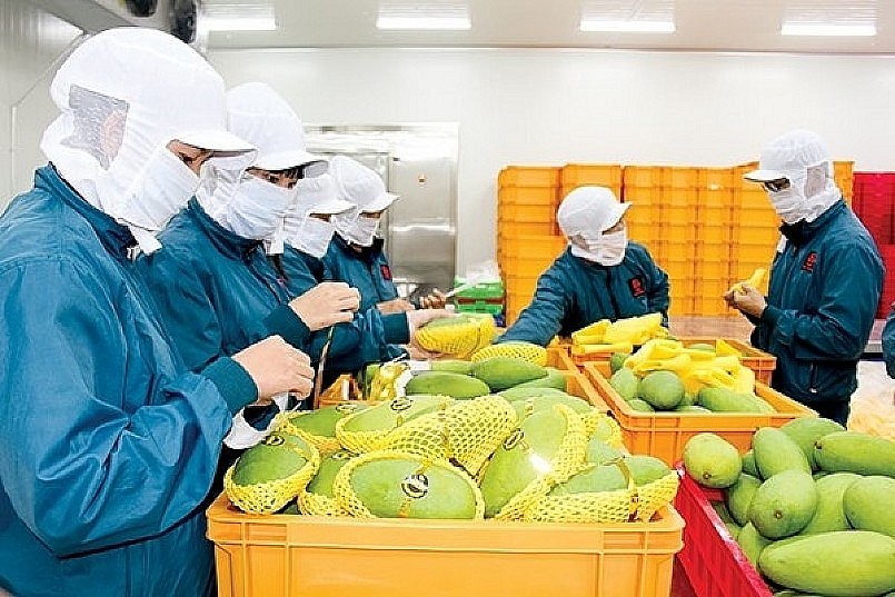 Thúc đẩy xuất khẩu rau quả Việt Nam sang thị trường EU