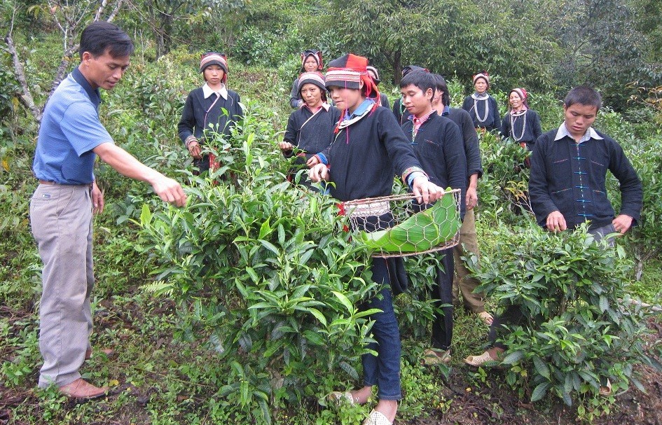 Nhiều điểm mới trong đề án đổi mới đào tạo nghề cho lao động nông thôn