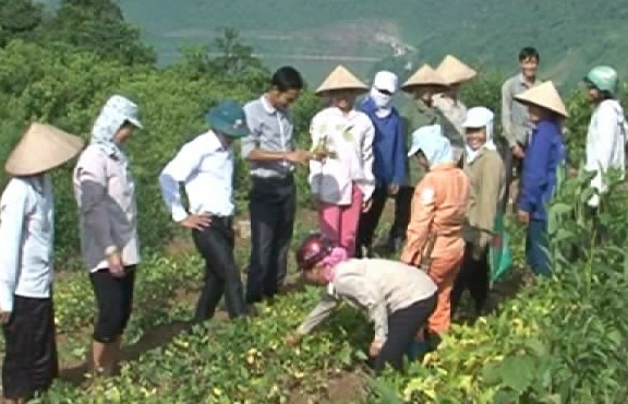 Bất chấp khó khăn, Điện Biên vẫn vượt chỉ tiêu đào tạo nghề