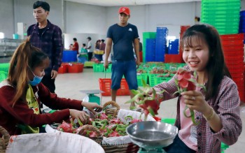 Australia đang mở thêm dư địa cho nông sản, thực phẩm Việt Nam