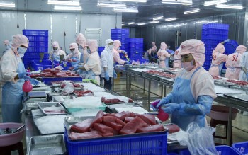 Gia hạn nộp thuế và tiền thuê đất trong năm 2026