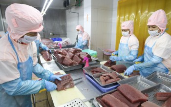 EU cảnh báo thực phẩm Việt Nam: Doanh nghiệp cần siết kiểm soát an toàn thực phẩm