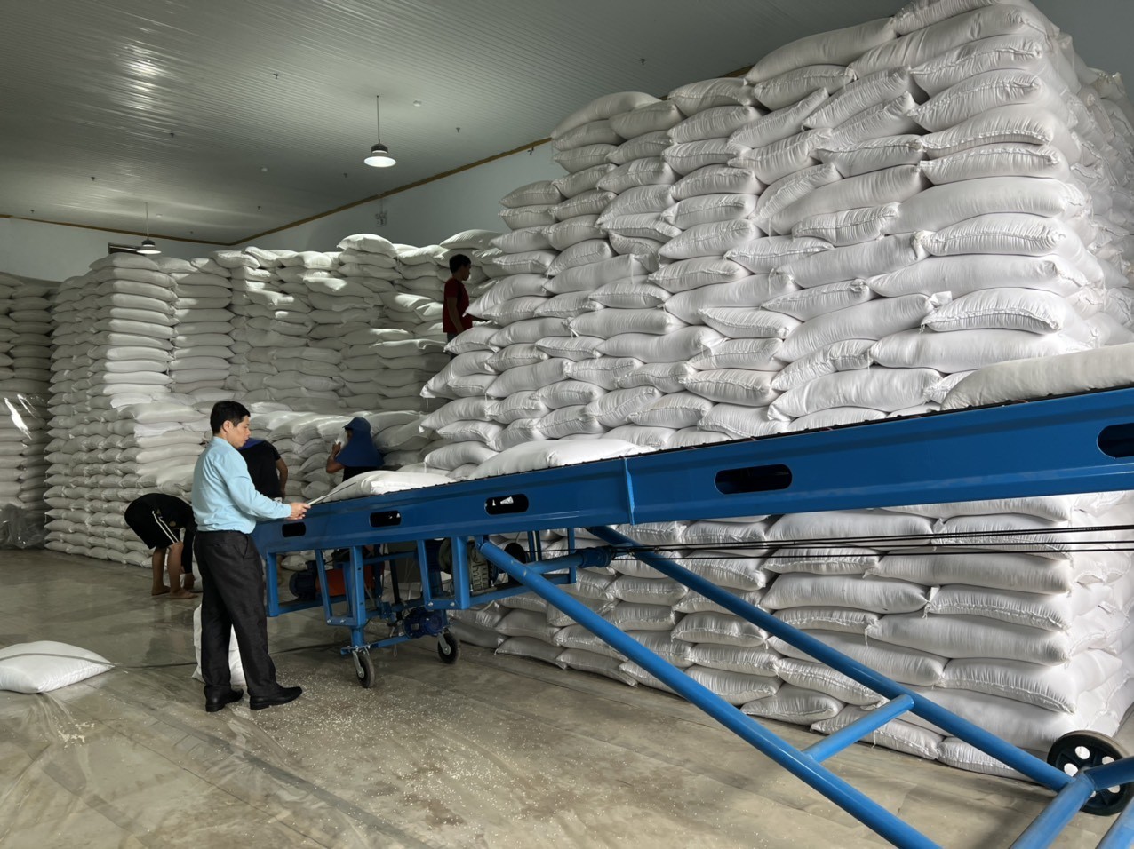 Khẩn trương xuất gạo dự trữ hỗ trợ nhân dân trong dịp Tết Nguyên đán