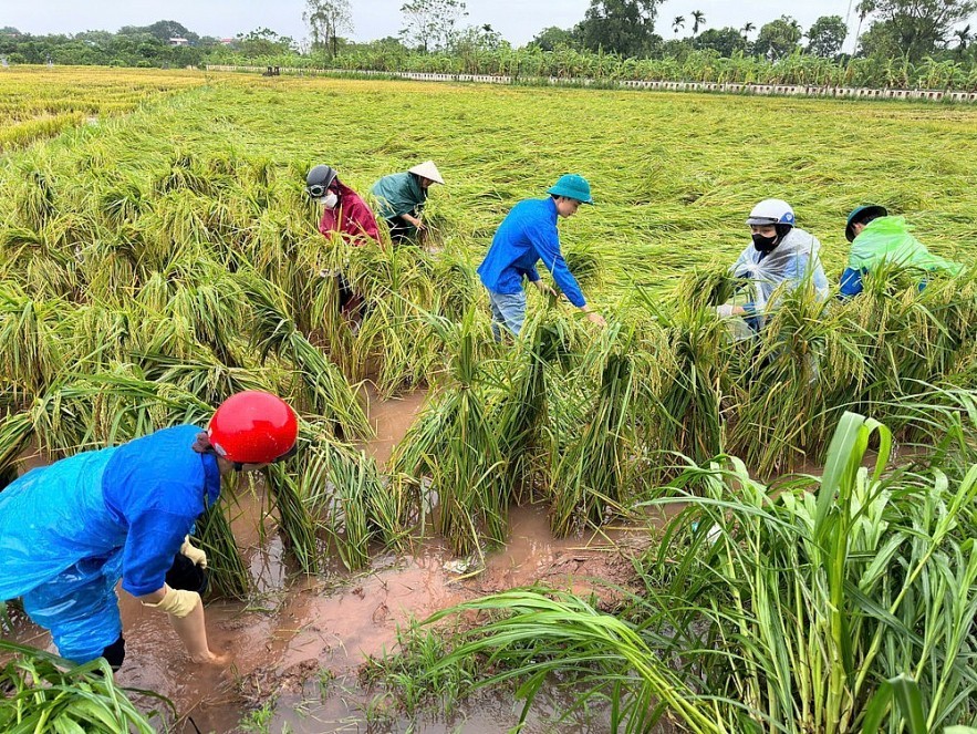 Chuyên đề: Sẽ sửa đổi Nghị định bảo hiểm nông nghiệp, tăng vai trò "lá chắn" trước rủi ro