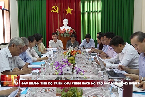 day nhanh tien do trien khai chinh sach ho tro bao hiem nong nghiep