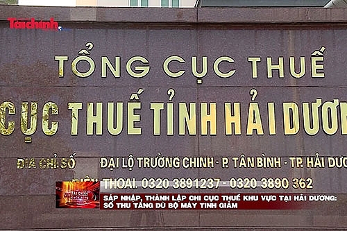 sap nhap thanh lap chi cuc thue khu vuc tai hai duong so thu tang du bo may tinh giam