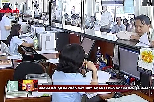 nganh hai quan khao sat muc do hai long doanh nghiep nam 2019