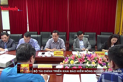 bo tai chinh trien khai thi diem chinh sach bao hiem nong nghiep o ha giang
